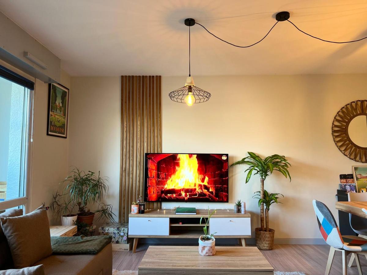 Apartmán Le Zenith - T2 Chaleureux Et Lumineux Toulouse Exteriér fotografie
